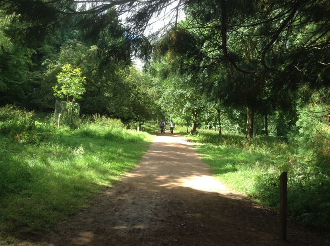 Queenswood Country Park and Arboretum, Herefordshire